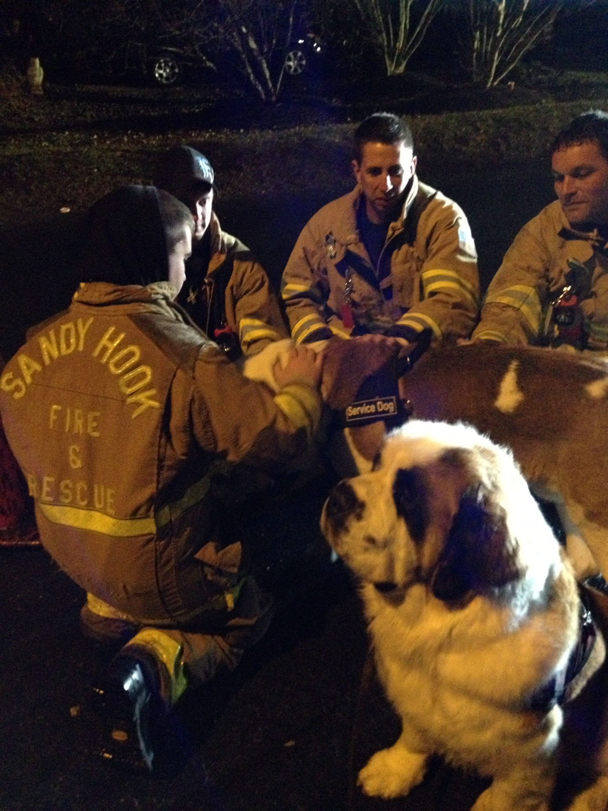 Comfort dogs-Sandy Hook